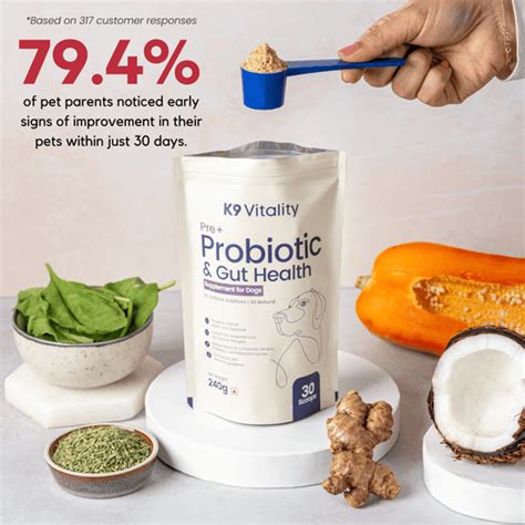 7 Best Probiotics for Dogs in India – K9 Vitality