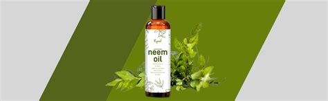 Buy Ryaal Pure Essential Neem Oil For Hair Care And Skin Care (200ml ...
