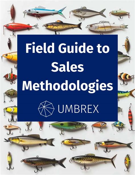 Selling Methods 的图像结果