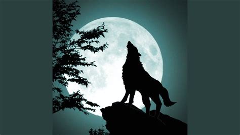 Image result for Real Wolves Howling
