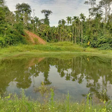 HULLIMAKKI HOME STAY (Sakleshpur, Karnataka) - Guesthouse Reviews ...