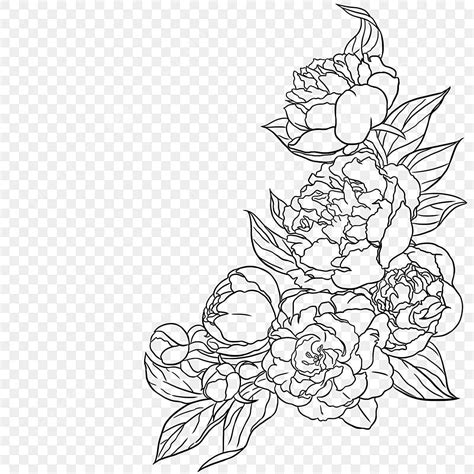 Hand Drawn Line Drawing Flowers, Flower Drawing, Flowers Drawing, Wing ...