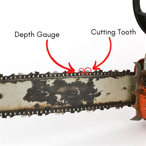 Tips for Using and Maintaining Chainsaws | Productive Parks