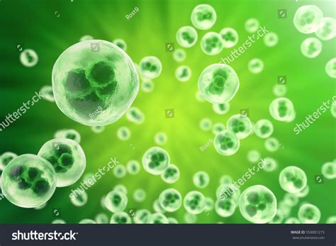 856,022 Green Biology Images, Stock Photos & Vectors | Shutterstock