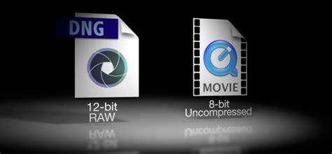 Image result for 8 Channel 12 Bit