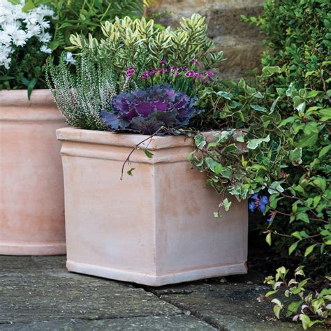 Extra Large Terracotta Plant Pot | 4 Sizes Multipacks | Gardenesque