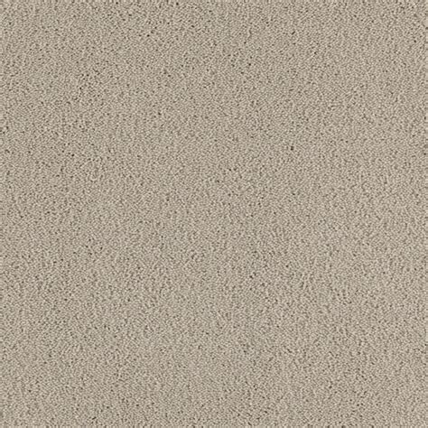 SmartStrand Sorona Moon Drops Carpet at Lowes.com