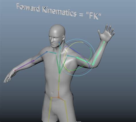 Image result for Maya Rigging Script