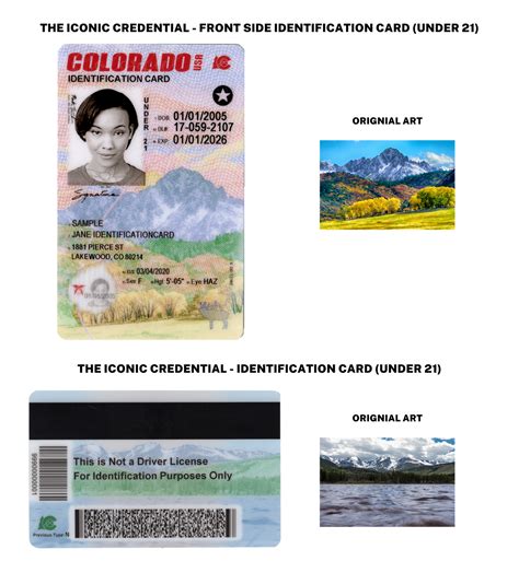 DMV unveils design of new Colorado driver's licenses | KRDO