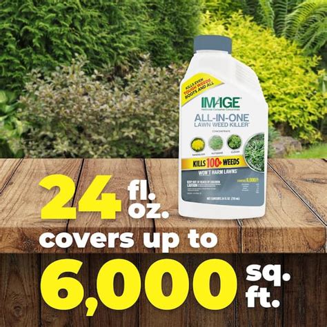 Herbicides All-In-One Lawn Weed Killer Concentrate India | Ubuy