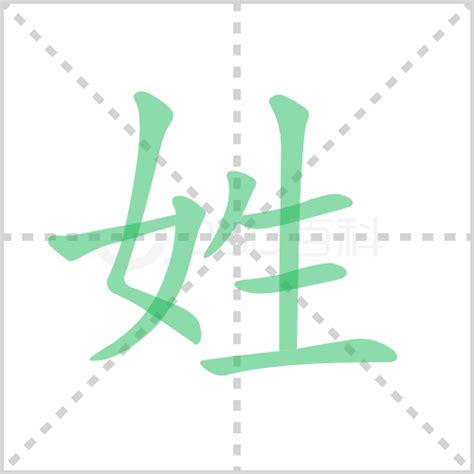 姓的笔顺 解答姓的笔顺笔画顺序怎么写！-【练字门户网】