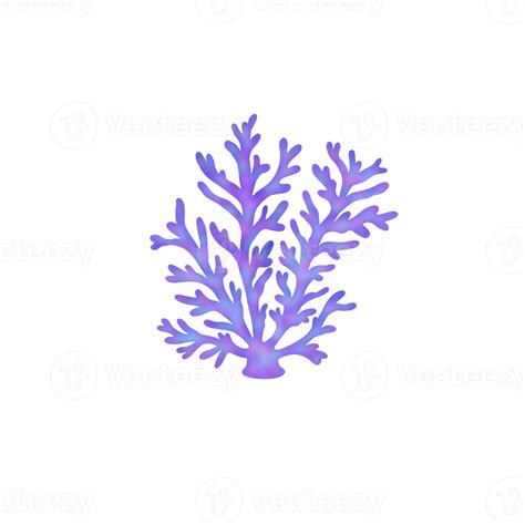 Colorful Coral Reef 22095211 PNG