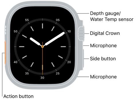 Apple Watch models - Apple ਸਹਾਇਤਾ (IN)