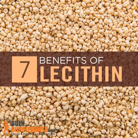 Soy Lecithin Side Effects