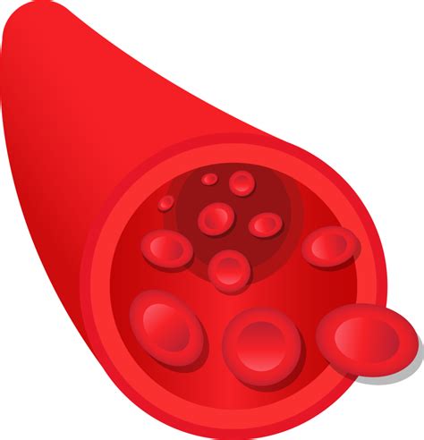 Blood vessel clipart design illustration 9380985 PNG