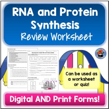 Image result for Protein Synthesis Review Worksheet