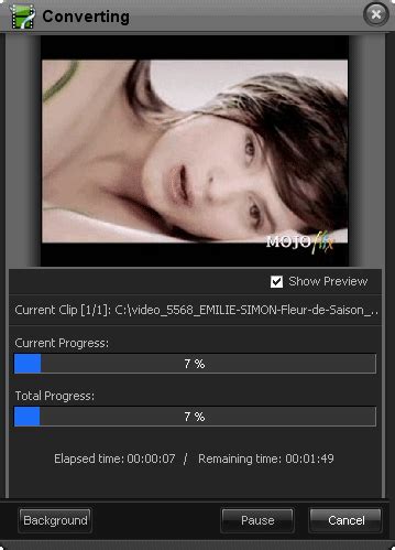 Video File Conversion Tutorial 的图像结果