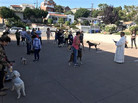 SAINT FRANCIS OF ASSISI – Saint Agnes Catholic Church