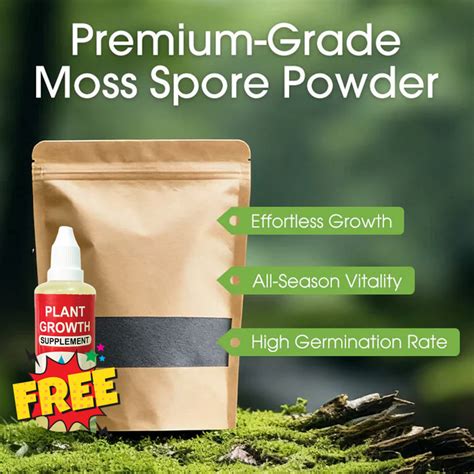 Premium-Grade Moss Spore Powder |🔥BUY 1 GET 1 FREE🔥 – Homely Dezires