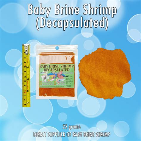 BABY BRINE SHRIMP (DIRECT SUPPLIER) Decapsulated 25g to 150g fish food ...