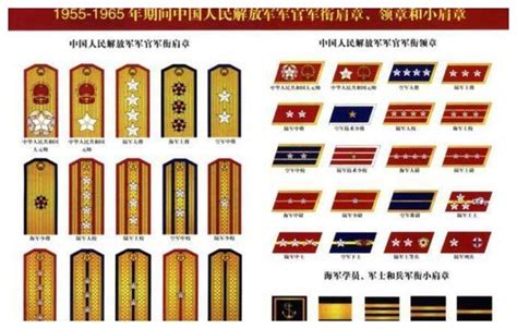 师级干部是什么级别市级干部是什么级别2022已更新今日资讯