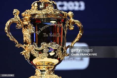 Rugby Trophy 的图像结果