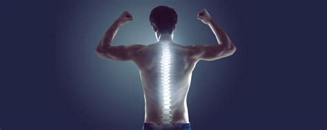 Why your stomach & joints will thank you for good spine health | The ...