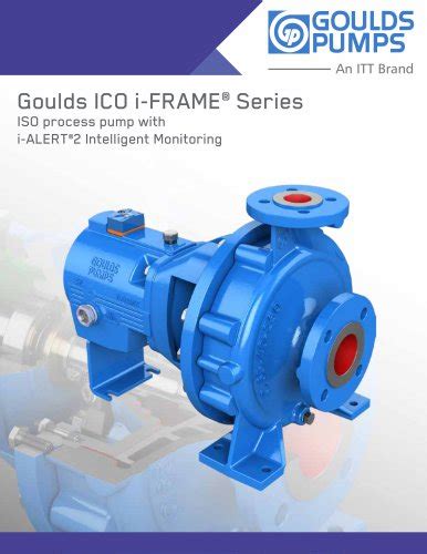 Goulds 3196 i-FRAME Process Pump - Goulds Pumps - PDF Catalogs ...