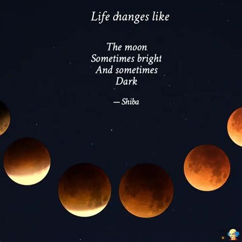 The moon Sometimes bright... | Quotes & Writings by Sibani Rajak ...