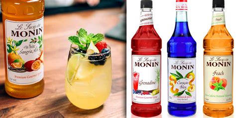 Monin Sirup Frucht Püree | GOURMET VERSAND Online Shop