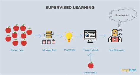 Visualize Supervised Learning Examples 的图像结果