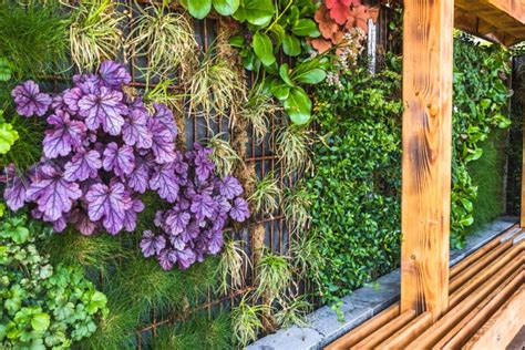 Image result for Backyard Using Privacy Screens