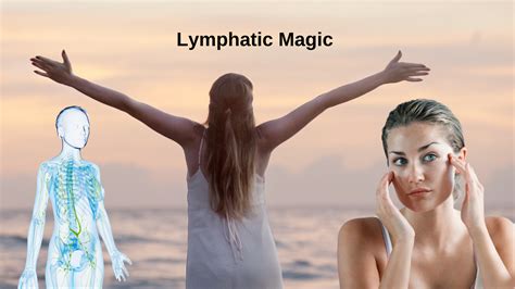 Image result for Lymphatic System Exercise