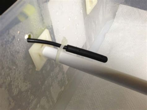 Green Tree Python Tub Setup 的图像结果