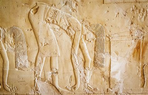 For ancient Egyptians, dance was a huge part of daily life | National ...