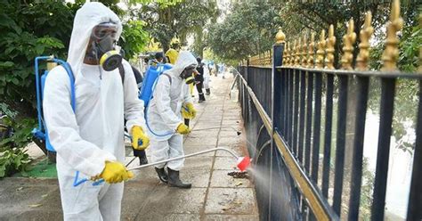 As Countries Resort To Spraying Disinfectants In The Open, WHO Warns It ...