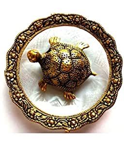 Buy Rattan Metal Tortoise with Plate Online at Low Prices in India ...