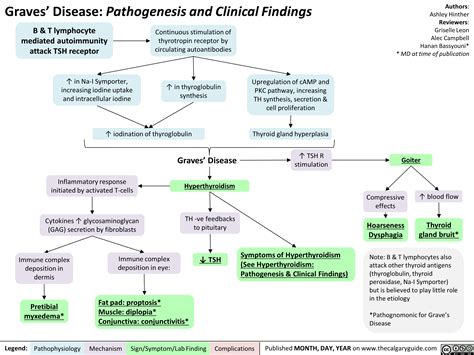 Laboratory Diagnosis Of Graves Disease at Douglas Wilder blog