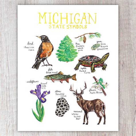 Michigan State Symbols | Brush & Bark