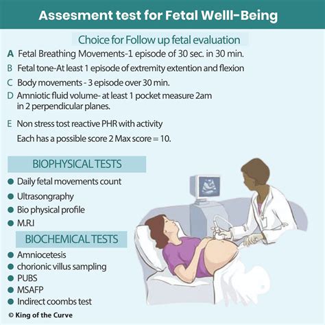 Fetal Well-Being Assessment: Biophysical & Biochemical Tests Explained ...