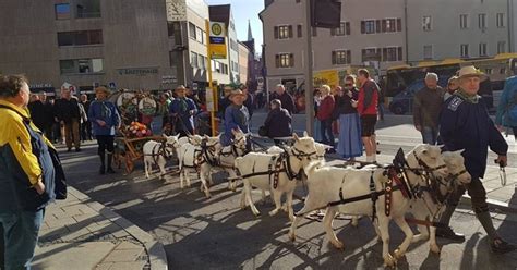 Bockbier-Saison-Start in Regensburg mit Blasmusik und Ziegen | charivari