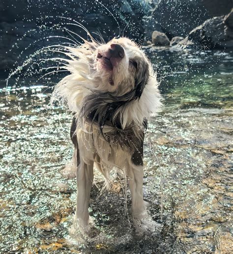 Huawei Phone 的图像结果