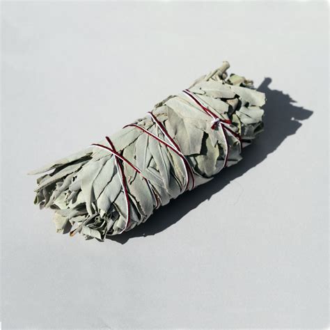 CALIFORNIA WHITE SAGE Smudge Stick - Ume