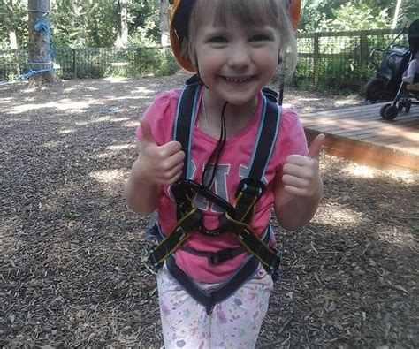 TREE TOP CHALLENGE LIMITED (2026) All You Need to Know BEFORE You Go ...