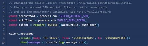 Image result for API SMS Red Logo