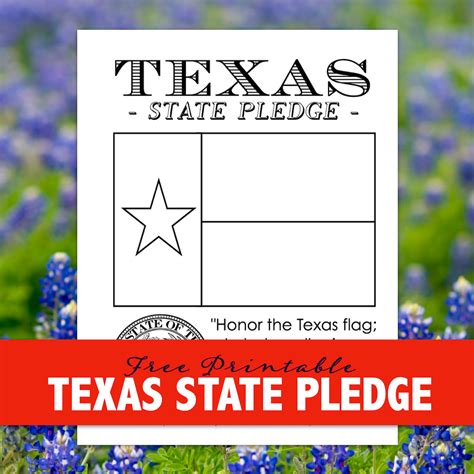 Texas State Pledge