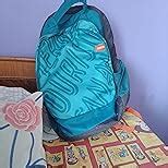 American Tourister Popin 31 Ltrs Teal Casual Backpack (FU4 (0) 11 001 ...