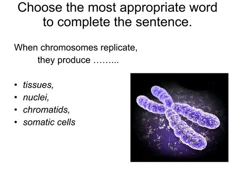 Igcse cell division_fernandobiodeluna2010 | PPS