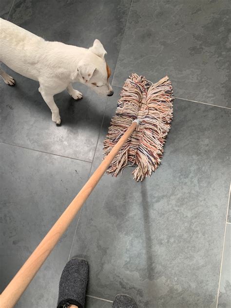 What Does Mopping The Floor Mean In Dream | Viewfloor.co