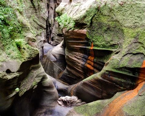 Belly of the Beast: Heaps Canyon, Zion National Park – Dana Wentzel